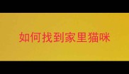 如何找到家里猫咪