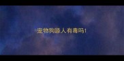 宠物狗舔人有毒吗
