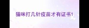 猫咪打几针疫苗才有证书