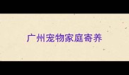 广州宠物家庭寄养