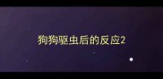 狗狗驱虫后的反应