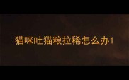 猫咪吐猫粮拉稀怎么办