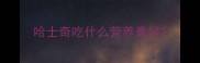 哈士奇吃什么营养膏好
