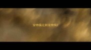 宠物猫见到宠物狗