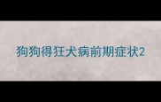 狗狗得狂犬病前期症状