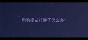 狗狗疫苗打肿了怎么办