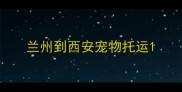 兰州到西安宠物托运