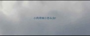 小狗得细小怎么治