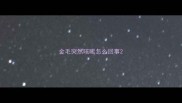 金毛突然咳嗽怎么回事