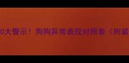 犬瘟初期症状10大警示狗狗异常表现对照表附紧急处理指南