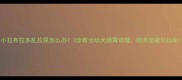小拉布拉多乱拉屎怎么办3步教会幼犬肠胃调理附养宠避坑指南
