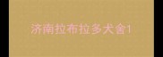 济南拉布拉多犬舍