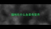 猫咪吃什么鱼最有营养