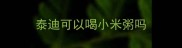 泰迪可以喝小米粥吗