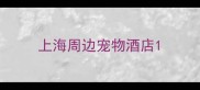 上海周边宠物酒店