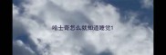哈士奇怎么就知道睡觉