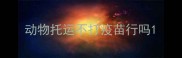 动物托运不打疫苗行吗