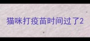 猫咪打疫苗时间过了