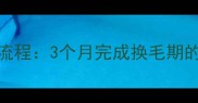 金毛犬换毛全流程3个月完成换毛期的科学护理指南