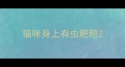 猫咪身上有虫粑粑