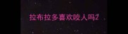 拉布拉多喜欢咬人吗