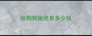 给狗狗做绝育多少钱