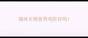 猫咪长期食用鸡肝好吗