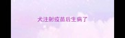 犬注射疫苗后生病了