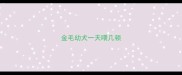 金毛幼犬一天喂几顿