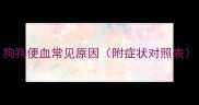 狗狗便血常见原因附症状对照表