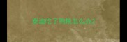 泰迪吃了狗粮怎么办