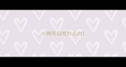 小狗可以吃什么肉