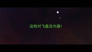 边牧对飞盘没兴趣
