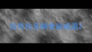 拉布拉多喘食欲减退