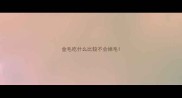 金毛吃什么比较不会掉毛