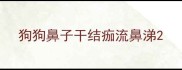 狗狗鼻子干结痂流鼻涕
