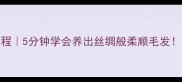 宠物美毛粉DIY教程5分钟学会养出丝绸般柔顺毛发天然配方亲测有效