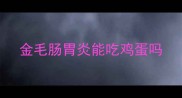 金毛肠胃炎能吃鸡蛋吗