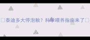 泰迪多大停泡粮科学喂养指南来了