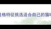 科学选猫指南如何根据性格特征挑选适合自己的猫咪5步教你避开性格雷区