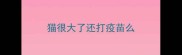 猫很大了还打疫苗么