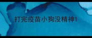 打完疫苗小狗没精神
