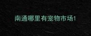 南通哪里有宠物市场