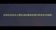 拉布拉多幼犬口冒白沫的紧急处理与科学应对指南
