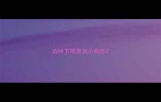 吉林市哪里卖小狗崽