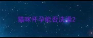 猫咪怀孕能否洗澡