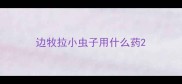 边牧拉小虫子用什么药