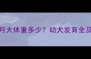 边境牧羊犬1个月大体重多少幼犬发育全及科学喂养指南