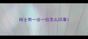 哈士奇一会一拉怎么回事