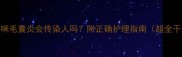 猫咪毛囊炎会传染人吗附正确护理指南超全干货